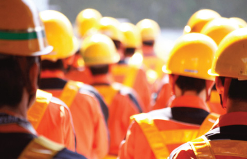 Manpower Supply Services